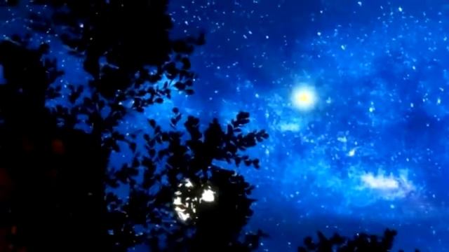 Букет. Песни старого шарманщика. смотреть онлайн