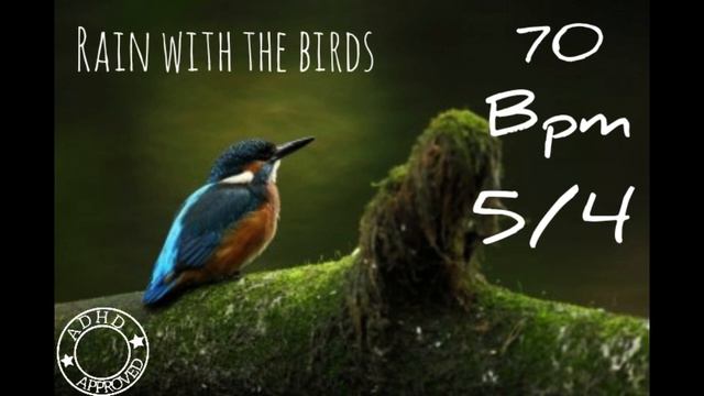 70 bpm metronome with silence 5/4 смотреть онлайн