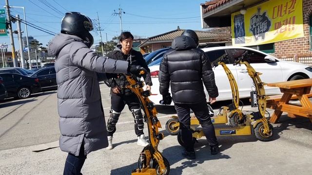 WEPED SS Electric Scooter
