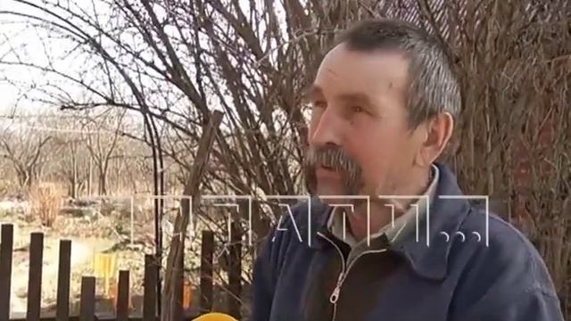 Один окурок убил 6 пчелиных семей в Воротынском районе смотреть онлайн