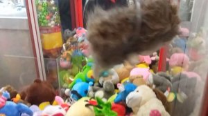 Играем в автомат _Хватайка_