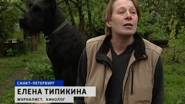 Догхантеры за людей и против зоошизы: https://forum.doghunter.site/ смотреть онлайн