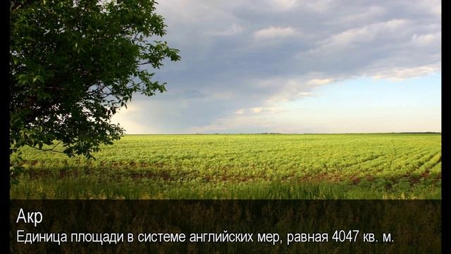 Акр. Толковый Видеословарь русского языка смотреть онлайн