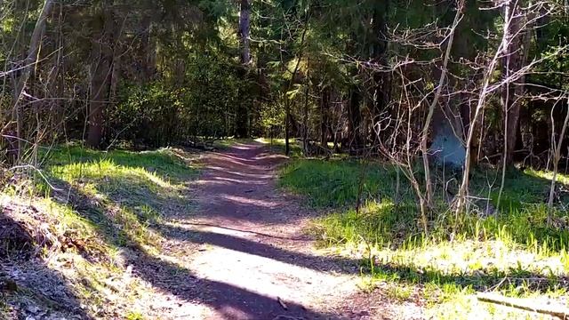 Детство. Николай Заболоцкий смотреть онлайн