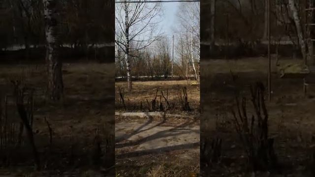 ООО чистота стала. Молодцы жители общаги д. Жилетово 13.04.2021 смотреть онлайн