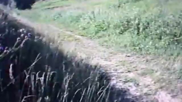 тренировка на лыжной трассе. мунтабайк смотреть онлайн