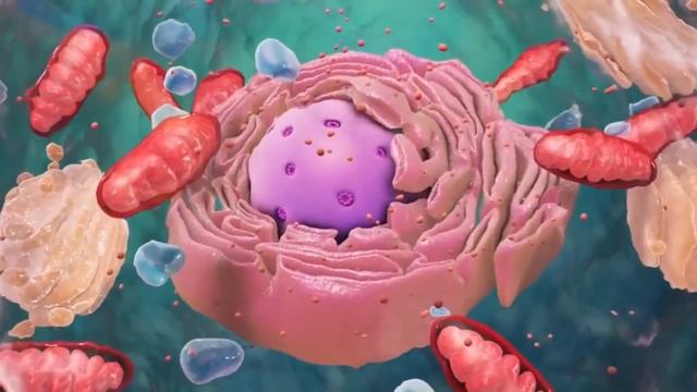 Биология. Ядро. смотреть онлайн