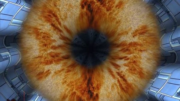 Тестирование Palit GeForce GTS 450 (1024MB DDR5) в Furmark