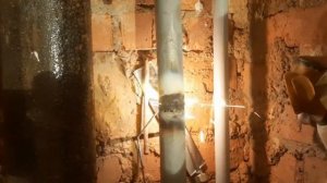 Меняем стояки водоснабжения в квартире. Горячая вода, холодная, и обратка.