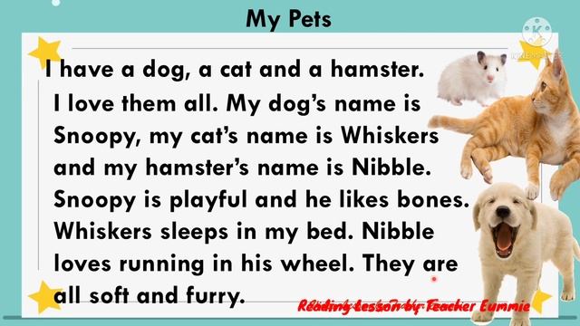 Short Story for Grade 3 with Comprehension смотреть онлайн