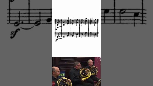 NATURAL HORN TRIO!!!! (Beethoven Symphony No.3, 3rd movement Horn Trio solo). смотреть онлайн