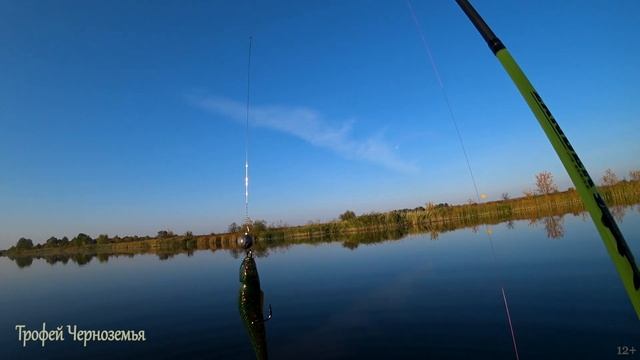 ДУМАЛ ЗАЦЕП, НО ОН ОЖИЛ. Ловля щуки на кружки смотреть онлайн