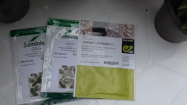 ЭТИ ОГУРЦЫ ЗАВАЛЯТ ВАС УРОЖАЕМ! ДЕШЕВЛЕ НЕ БЫВАЕТ!!! смотреть онлайн