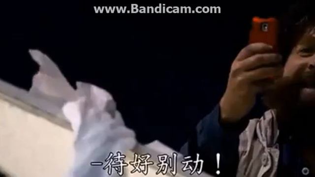 Мальчишник в Вегасе III [HANGOVER] - Смешные Моменты смотреть онлайн