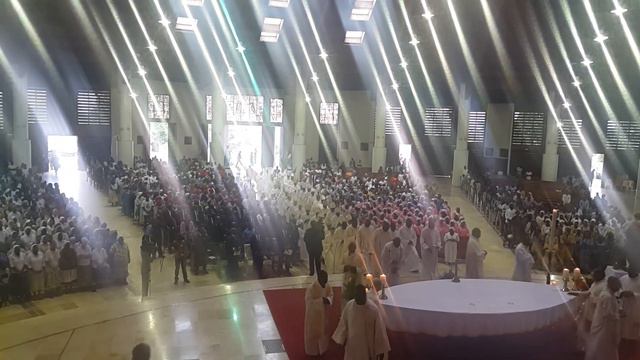 Mgr Julio MURAT célèbre pour la première fois à la Basilique Marie Reine des Apôtres de Mvolyé смотреть онлайн
