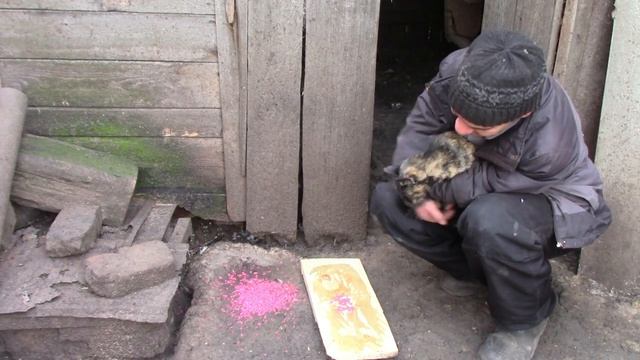 Архитектурные Вдохновения