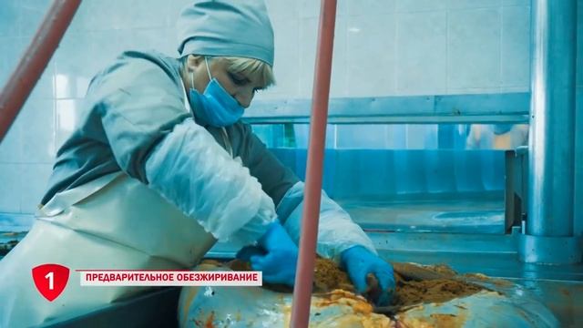 Как обрабатываются слизистые субпродукты на мясокомбинатах? | Processing Of Mucous Offal Of Cattle