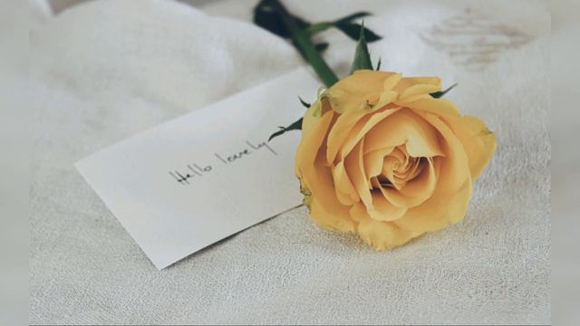 Most Beautiful Pictures Of Yellow Roses||Yellow Rose Pictures For DP||Yellow Rose Wallpaper 💛 смотреть онлайн