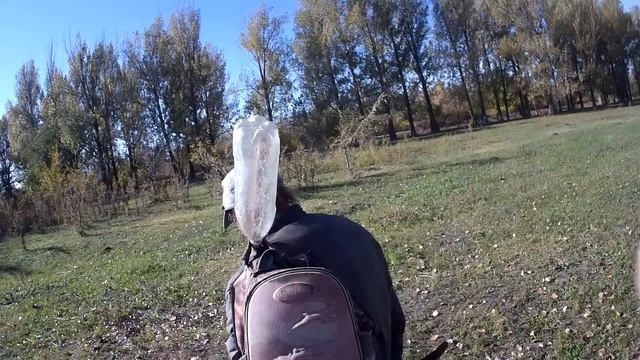 21.10.2023 КоАП РФ Статья 8.26. Самовольное использование лесов... смотреть онлайн