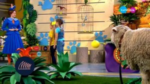 Лапы, морды и хвосты. Баран (от 02.09.2023)