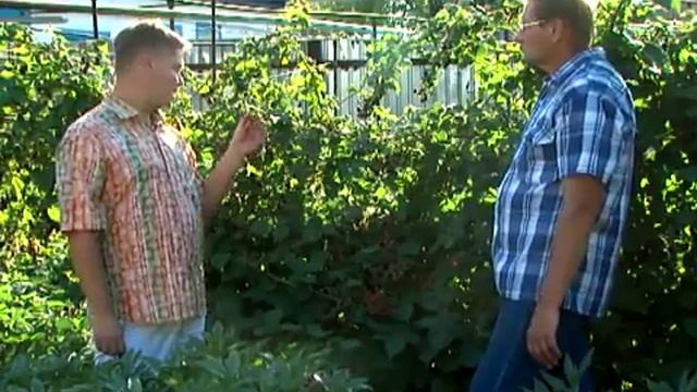 Дачная жизнь #22