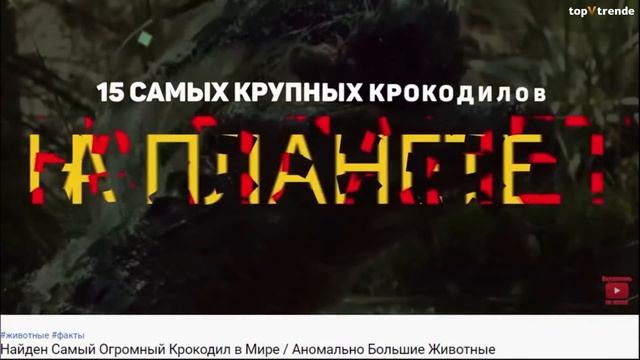 В Это Видео Невозможно Поверить, Но Его Удалось Снять НА КАМЕРУ