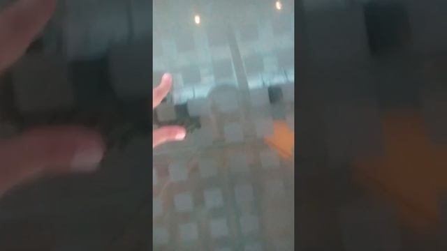 Стеклянный пол в национальной библиотеке Беларуси смотреть онлайн