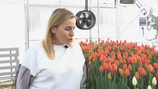 События (29.02.2024) смотреть онлайн