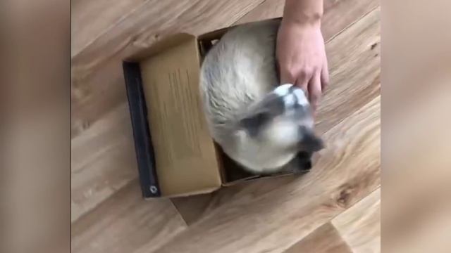 ...упаковался)?????? смотреть онлайн