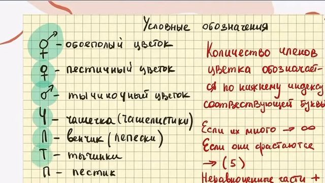 Цветок. Строение цветка.