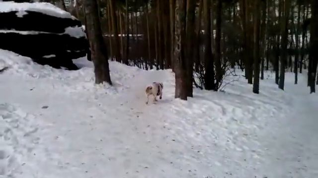 Каменные палатки смотреть онлайн