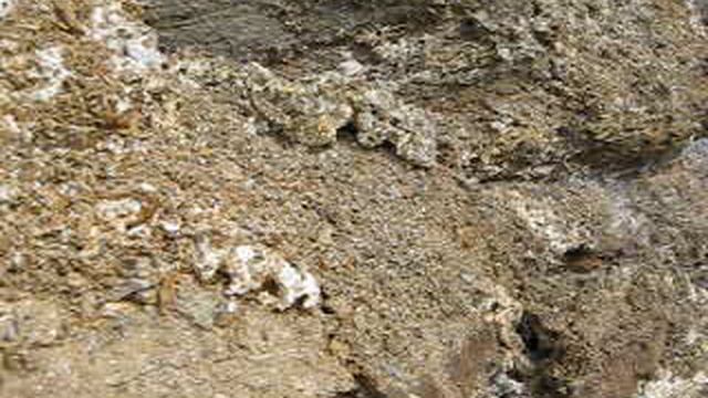 Лечение эпилепсии.