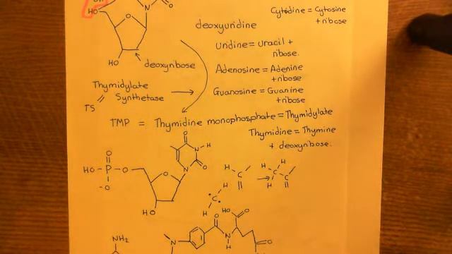 Methotrexate Part 7