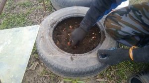 зелень в покрышках или грядки из старых покрышек!!!