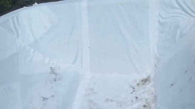 Бассейн для дачи .Самодельный бассейн. 4*6*1.8 . Очень дёшево и просто .Вторая часть смотреть онлайн