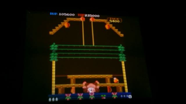 Donkey Kong 3 Arcade Video Game High Score Attempt 196400 смотреть онлайн