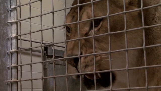 The Keepers: Sneak Preview