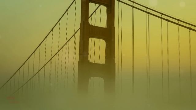 В первую брачную ночь услышали крики из спальни молодоженов, пришли - потеряли дар речи смотреть онлайн