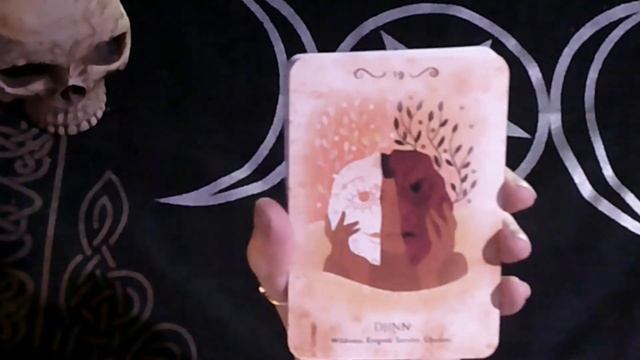 Pure Magic Oracle Review and Flip-through смотреть онлайн
