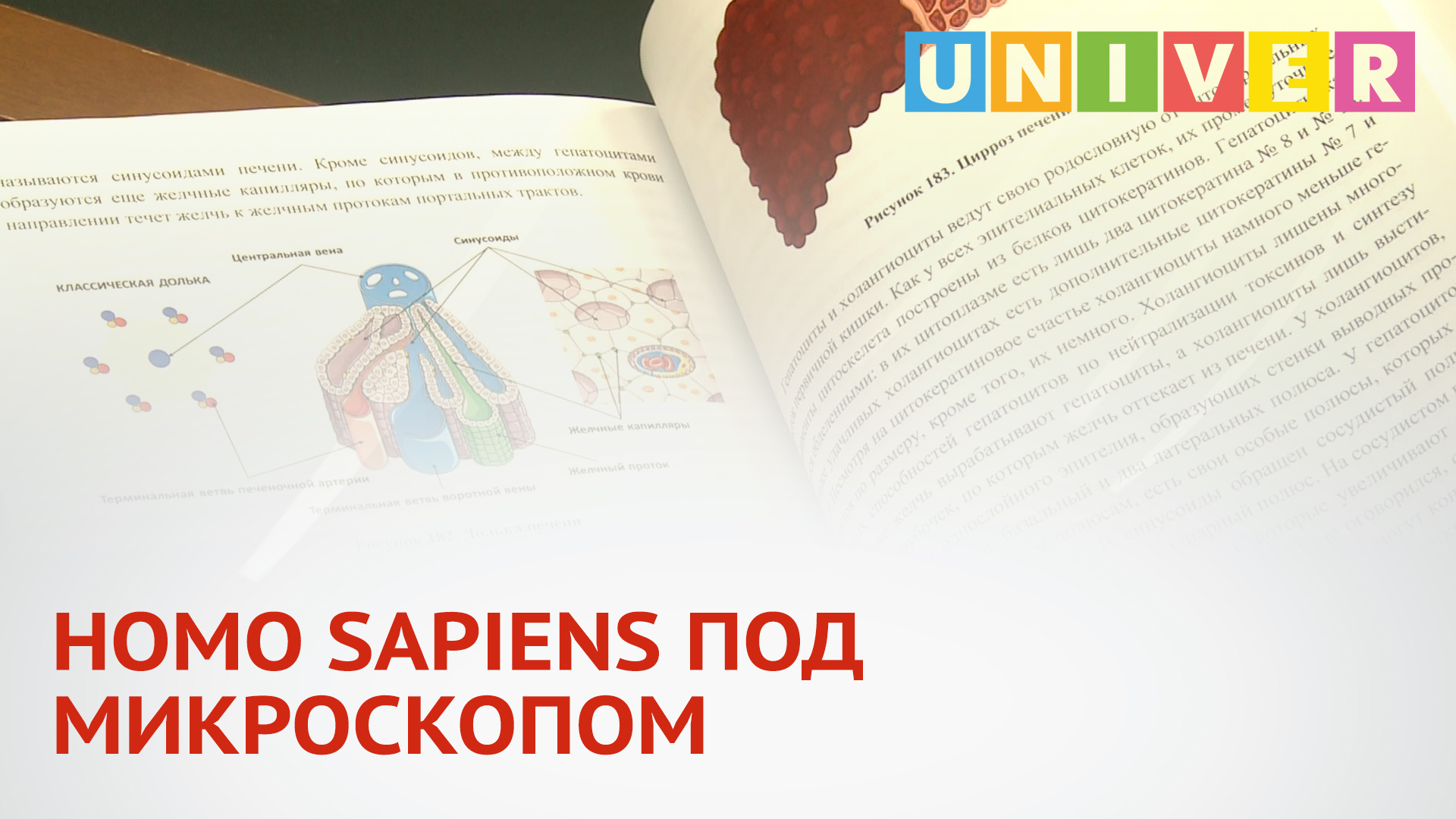 HOMOSAPIENS ПОД МИКРОСКОПОМ