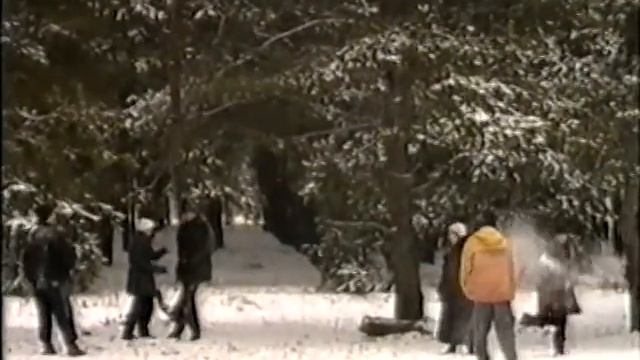 11 класс выпускной,Природа смотреть онлайн