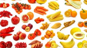 "Царство Растения", Биология 7 класс, Сивоглазов