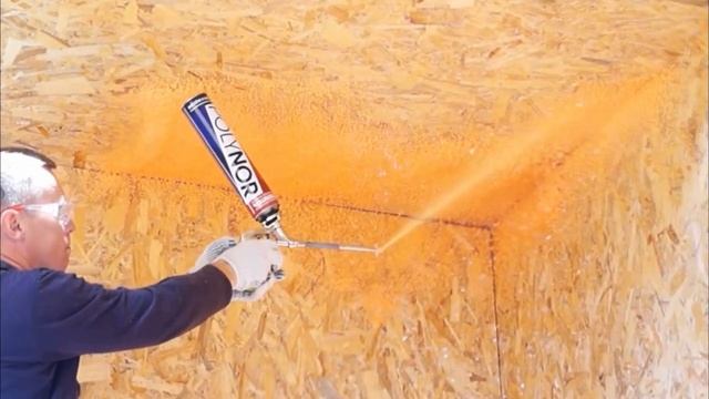 video POLYNOR смотреть онлайн