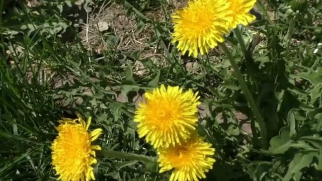 ХОЛОДНАЯ ВЕСНА 2022 г. смотреть онлайн