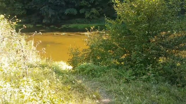 Велопрогулка на реку Десна. Подольск смотреть онлайн