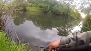 Серебряный Ручей, воблеры Тюлька, Плотва и Академик.