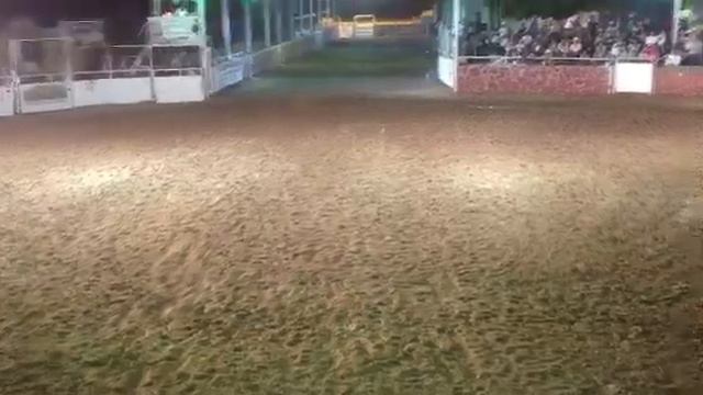 Nacional USA 2012 rancho el Olivo смотреть онлайн