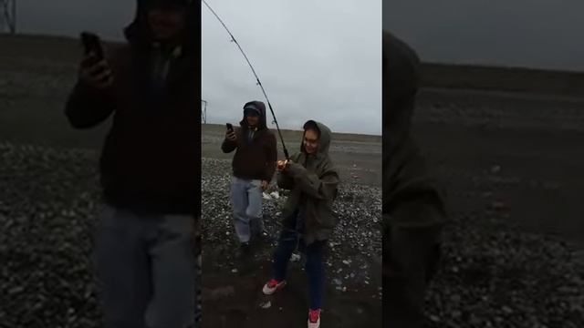 Охотское море рыба навага смотреть онлайн