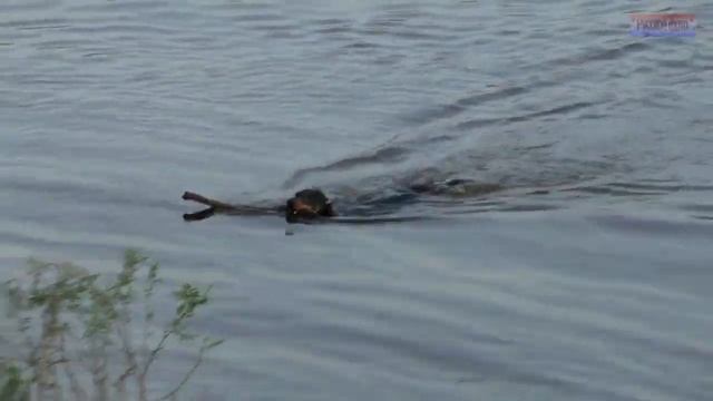Омск. смотреть онлайн