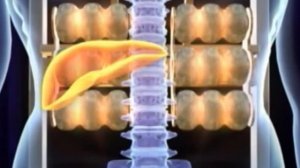 Вся правда про турманиевые матрасы Нуга Бест!!!